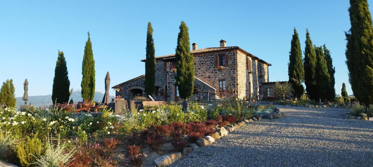 Casa Al Maestro B&B Radicofani Kültér fotó